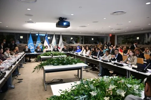 Birinci xanım Mehriban Əliyeva BMT Baş Assambleyası çərçivəsində xüsusi sessiyada iştirak edib