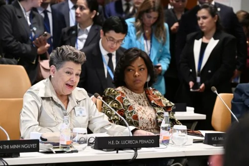 Birinci xanım Mehriban Əliyeva BMT Baş Assambleyası çərçivəsində xüsusi sessiyada iştirak edib