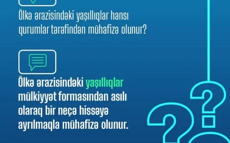 Ölkə ərazisindəki yaşıllıqlar hansı qurumlar tərəfindən mühafizə olunur?