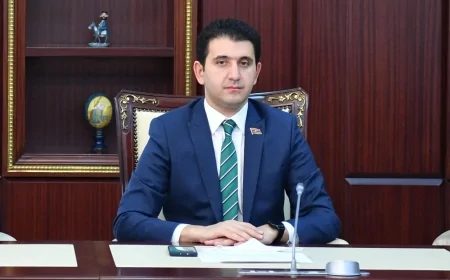 Millət vəkili: "Həyəcan təbili çalmasaq, 10 ildən sonra kəndlərdə həyat tamamilə dayanacaq"