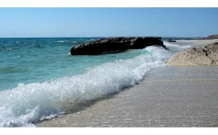 “Xəzəri Qoruyaq!” aksiyası çərçivəsində Bilgəh sahili tullantılardan təmizləndi