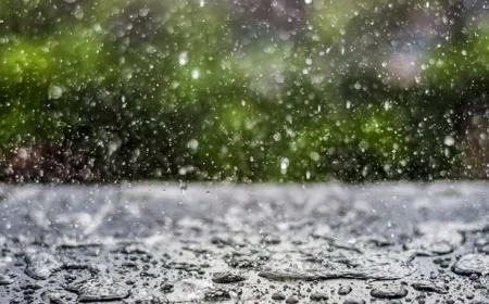 Əhalinin nəzərinə! - Sarı və narıncı xəbardarlıq edildi