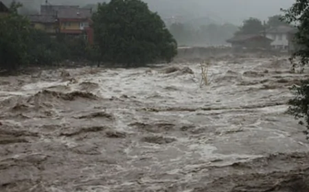 Balakənin Şərif kəndini sel basdı