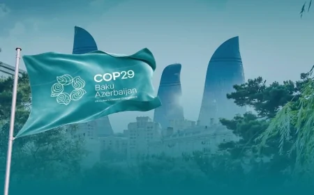 Muxtar Babayev: COP29 nəticəsi göstərdi ki, Azərbaycan qlobal sahədə də önəmli rol oynayır