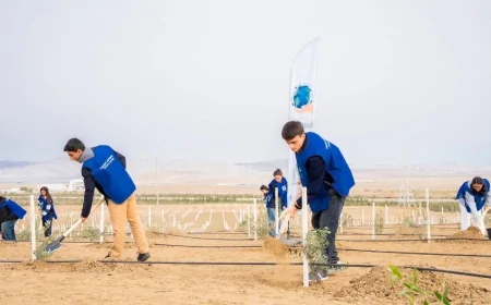 Müşfiqabad qəsəbəsində ağacəkmə aksiyası keçirilib