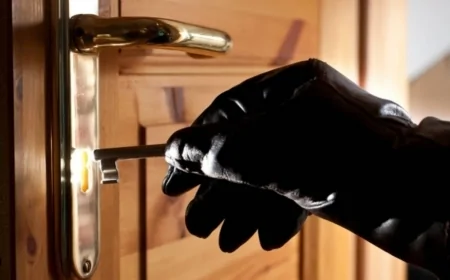 Naxçıvanda oğurluq edən şəxslər saxlanılıblar