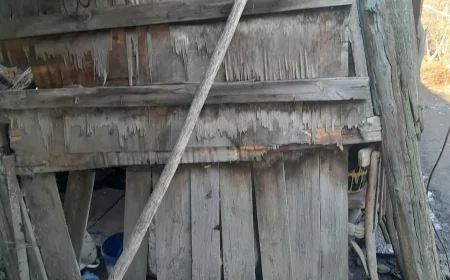 “Ağstafadan şikayət — hamı vəd verir, amma heç kim əməl etmir”