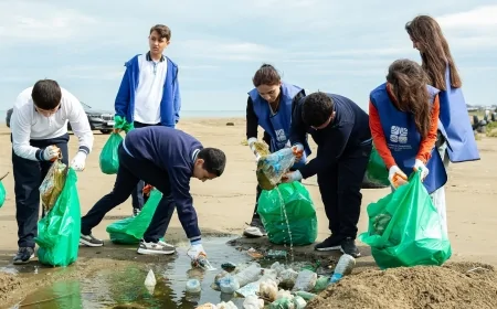 Xəzər dənizinin Sumqayıt sahilində iməcilik təşkil olunub