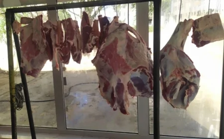Masazırda qanunsuz ət kəsimi AQTA hara baxır?