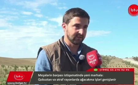 Meşələrin bərpası istiqamətində yeni mərhələ:  Qobustan və ətraf rayonlarda ağacəkmə işləri genişlənir