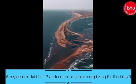 Abşeron Milli Parkının əsrarəngiz görüntüsü