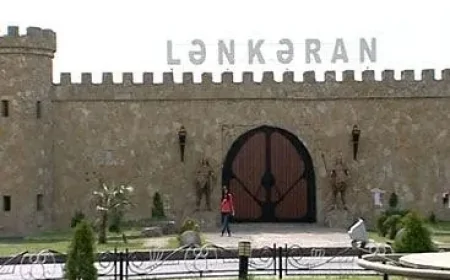 Şəhərin mərkəzində otlaq mənzərəsi — Lənkəranda parkda inəklər dolaşır