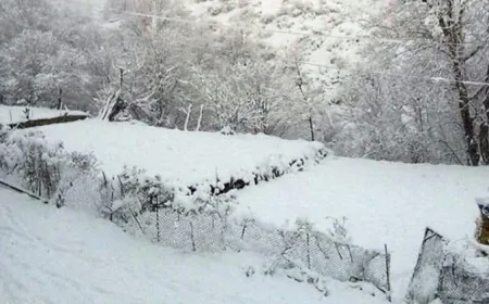 Azərbaycanda bu zonaya qar yağdı