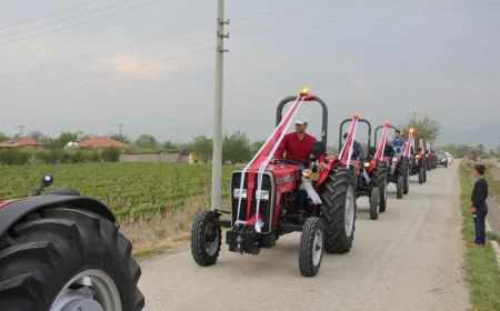 Qaxda qeyri-adi toy karvanı