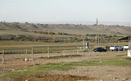 Tovuzdakı heyvan bazarında monitorinqlər keçirilib