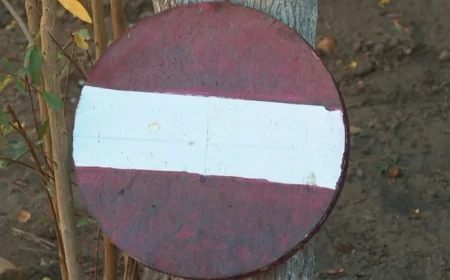 Ərini basdırdığı yerə “giriş qadağandır” nişanı qoydu