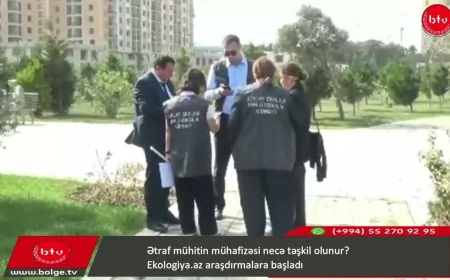 Ətraf mühitin mühafizəsi hansı formada təşkil olunur? — Ekologiya.az araşdırmalara başladı