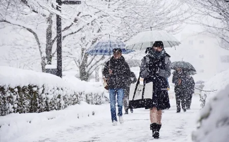 Dörd rayona qar yağır