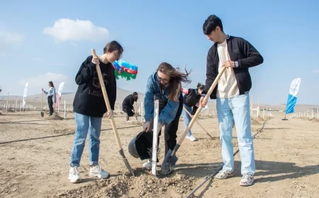 “II Yaşıl düşüncə maarifləndirmə proqramı” çərçivəsində  Müşfiqabad qəsəbəsində ağacəkmə aksiyası keçirilib