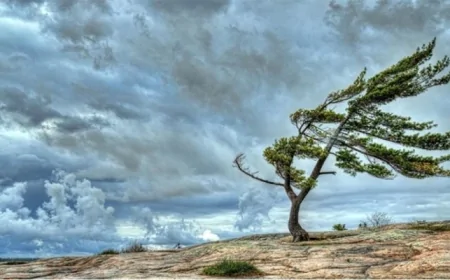 Hava ilə bağlı XƏBƏRDARLIQ - Bu tarixdən...