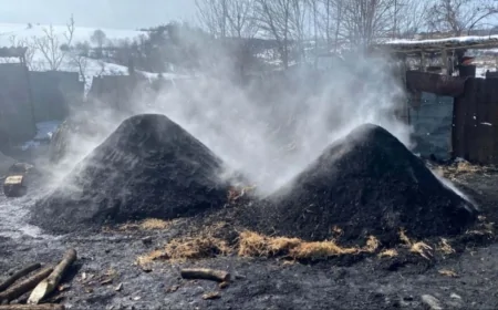DETX məlumat yaydı: Qanunsuz kömür istehsal edən şəxslər cərimələndi