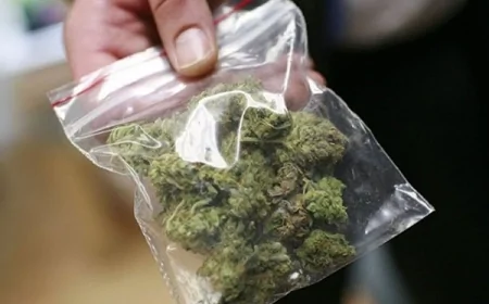 İnsan alverindən narkotik alverinə”keçid” edən şübhəli həbs olundu