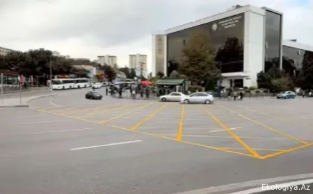 20 Yanvar dairəsində yenilik - Dayanan sürücülər cərimə olunacaq