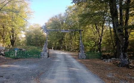 Şahdağ Milli Parkı — Azərbaycanın təbiət incisi