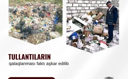 Bu şəhər və rayonlarda tullantıları qalaqlayaraq yandıran şəxslər barəsində tədbir görüldü