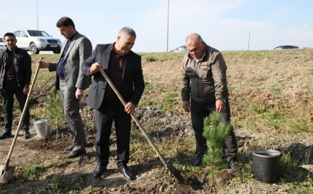 Bərdə rayonunda 8 Noyabr- Zəfər Günü münasibətilə ağacəkmə aksiyası keçirilib