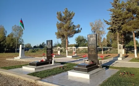 Qəbiristanlıqda gül əkdi, badımcan çıxdı