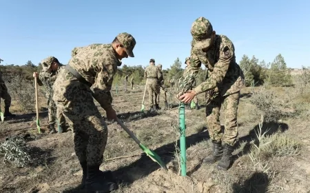 Zəfər Günü münasibətilə DİN əməkdaşları və Daxili Qoşunların hərbi qulluqçuları ağacəkmə aksiyası keçirib