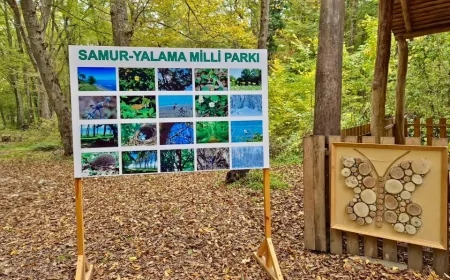 Samur-Yalama Milli Parkının yaradılması gününə həsr olunmuş maarifləndirici tədbir keçirilib