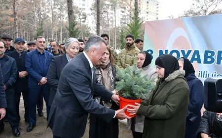 Abşeronda Zəfər Günü ilə əlaqədar ağacəkmə aksiyası keçirilib