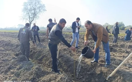 Sabirabadda Zəfər Gününə həsr olunmuş ağacəkmə aksiyası keçirildi