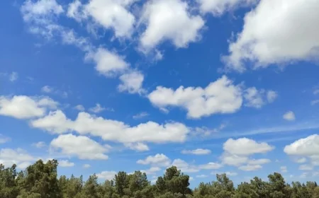 Sabah hava necə olacaq?