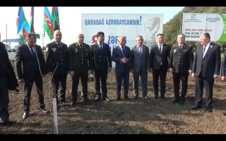 Masallıda Zəfər Günü münasibətilə ağacəkmə aksiyası keçirilib