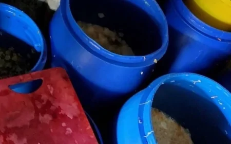 Bazarda satılan dana əti basdırmasında at DNT-si aşkarlandı