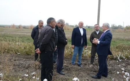 Rayon rəhbəri Köçərli kəndində fermer Cəfər Şəmilovun pambıq tarlası ilə tanış olub