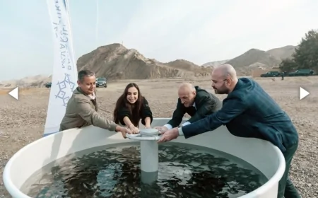 Leyla Əliyeva Mingəçevirdə ekoloji aksiyalarda iştirak edib