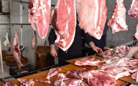 Quzu əti BAHALAŞDI