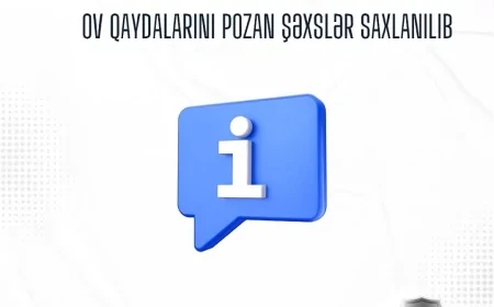 DETX məlumat yaydı: ov qaydalarını pozan şəxslər saxlanıldı