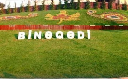 Binəqədi rayon İcra Hakimiyyəti niyə qanunsuz tikintilərə icazə verir?