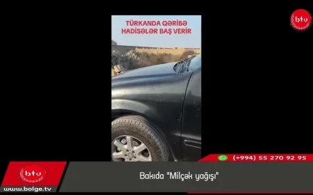 Bakıda "Milçək yağışı"- SƏBƏB NƏDİR?