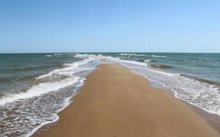 Abşeron Milli Parkında “açıq qapı” günü keçiriləcək