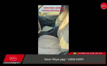 Bakıda "Milçək yağışı"- SƏBƏB NƏDİR?