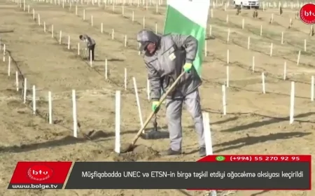 Müşfiqabadda ETSN və UNEC birgə ağacəkmə aksiyası keçirib
