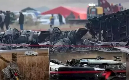 Təyyarə qəzasında partlayıcı izi tapılmadı