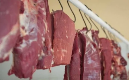 At əti satanlar saxlanıldı