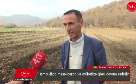 İsmayıllıda meşə-bərpa və mühafizə işləri davam etdirilir